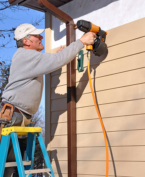 Best Vinyl Siding Installation  in North Merritt Island, FL